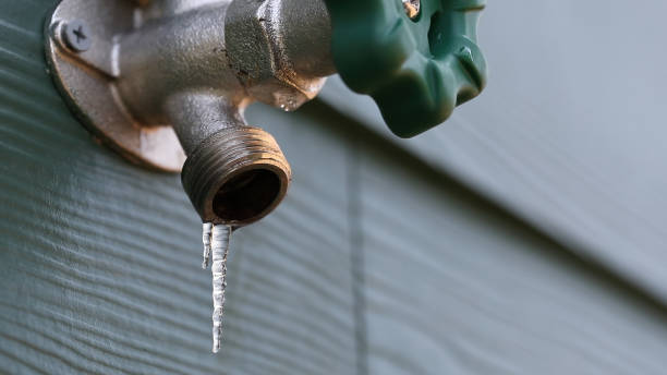 Best Plumbing Services Near Me  in Las Cruces, NM